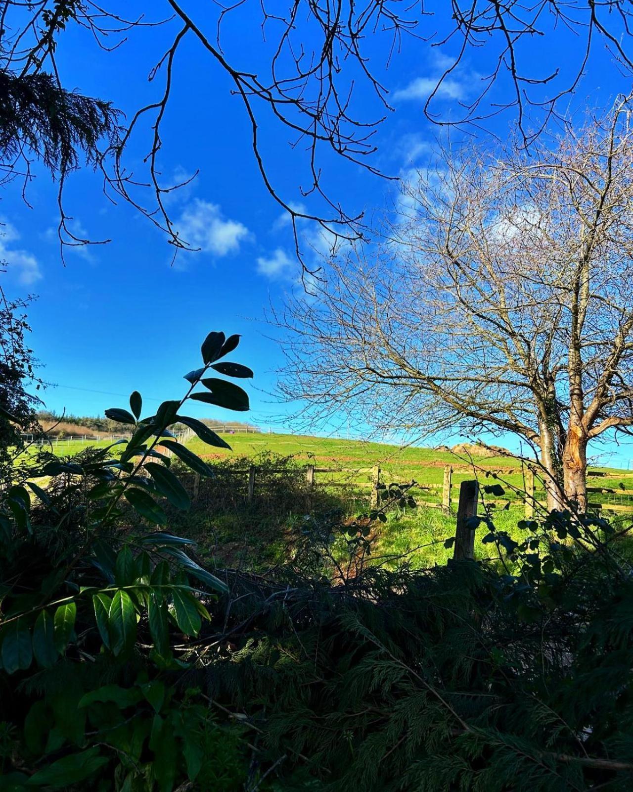 Sundial Cottage Newton Abbot Dış mekan fotoğraf
