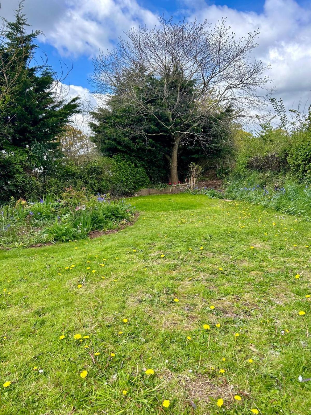 Sundial Cottage Newton Abbot Dış mekan fotoğraf