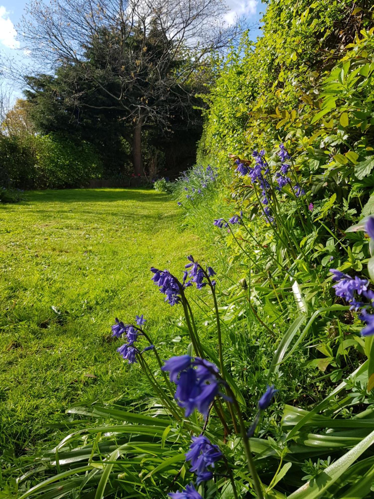 Sundial Cottage Newton Abbot Dış mekan fotoğraf